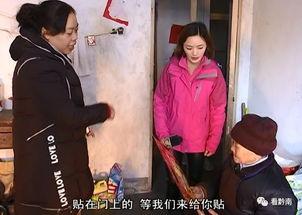 徐老太爆料视频大全,揭秘生活百态，引发社会热议  第1张